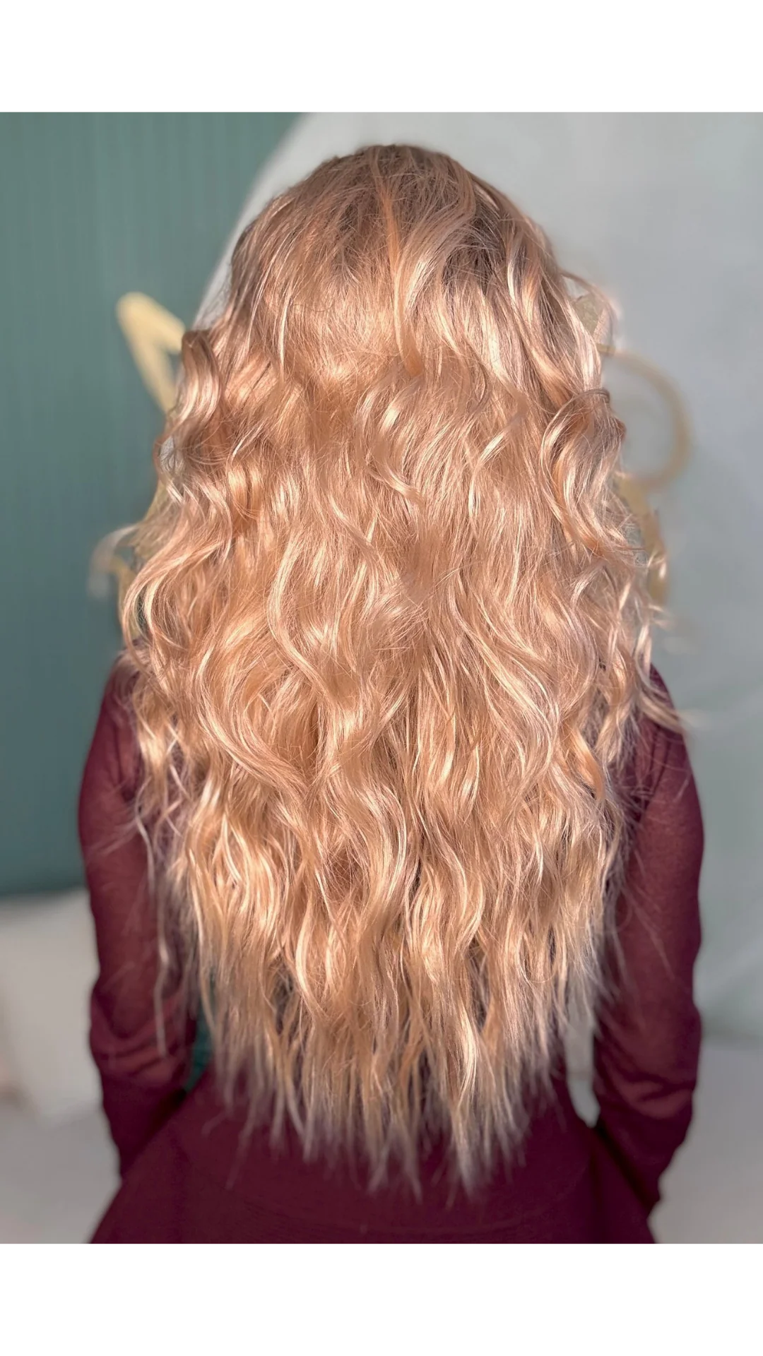 Blondechell (Nectarine) - Image 3