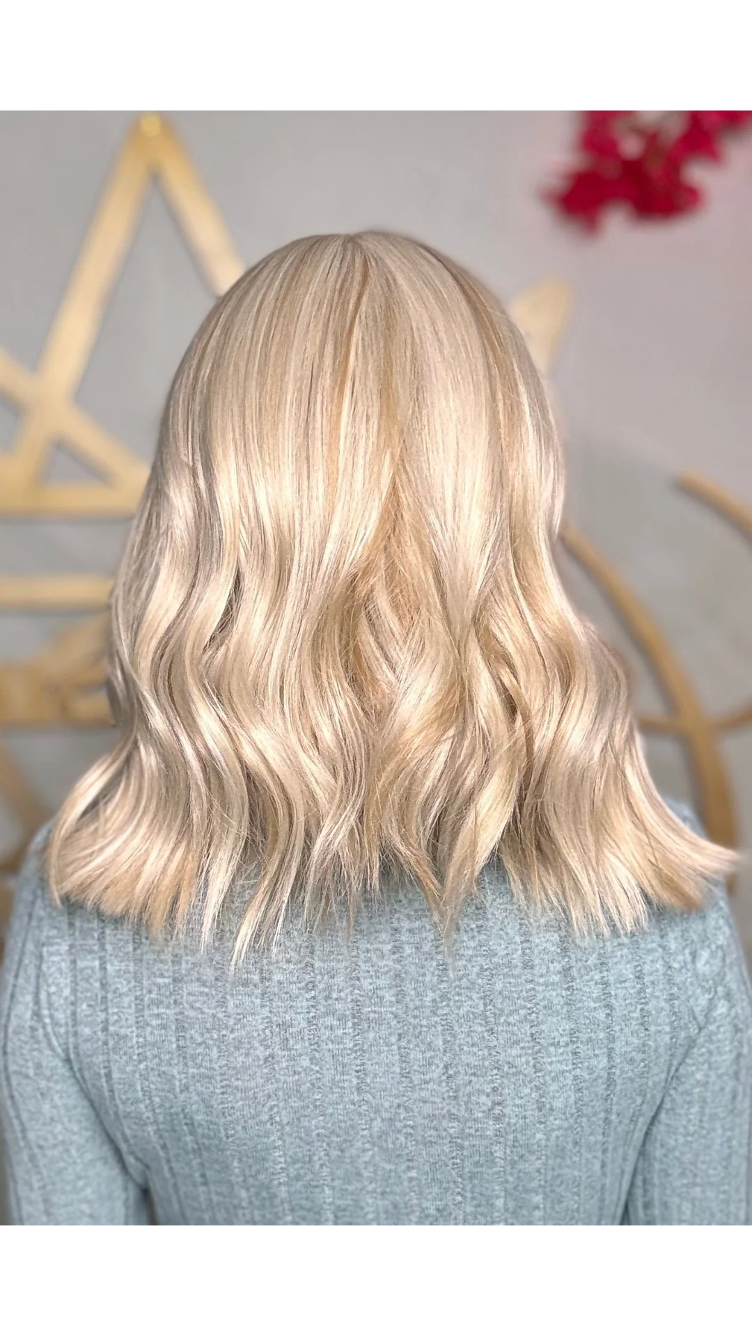 Charlie (Baja Blonde) - Image 2