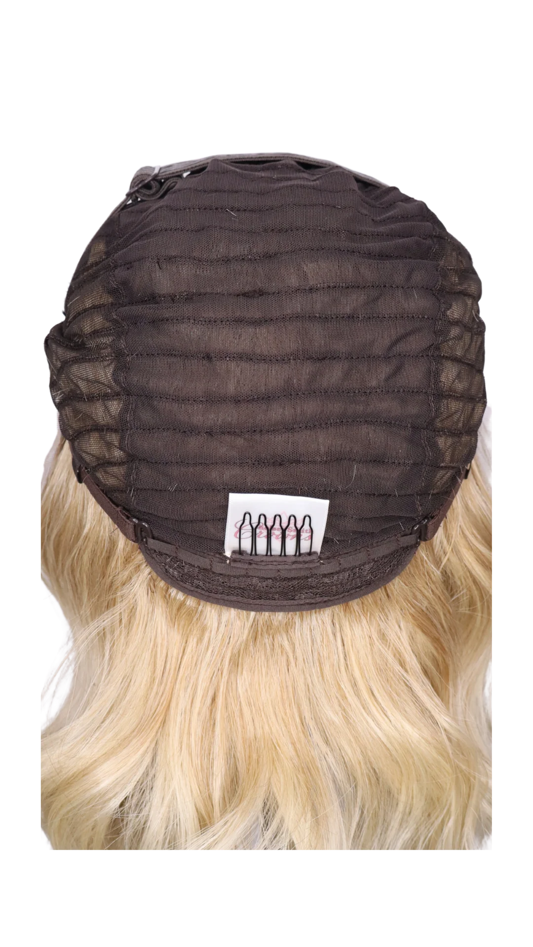 Charlie (Baja Blonde) - Image 4