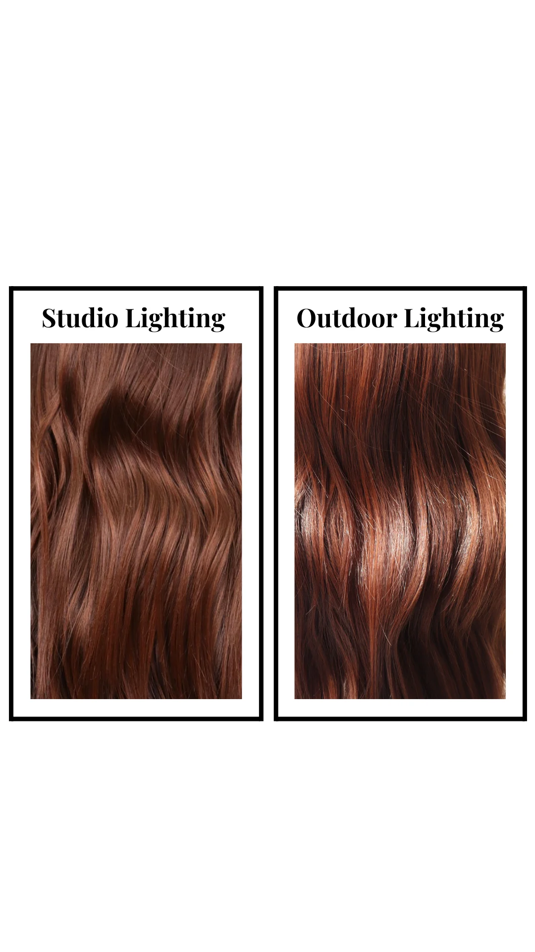 Jennifer (Auburn Blend) - Image 7