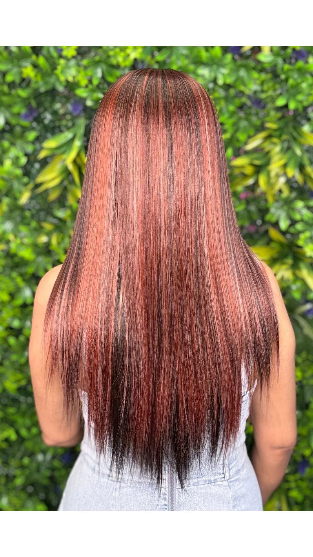 Mandy (Chestnut Ember) - Image 3